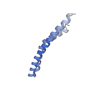 20168_6oqs_Q_v1-3
E. coli ATP synthase State 1b