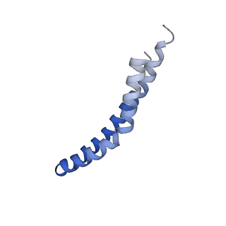 20168_6oqs_S_v1-2
E. coli ATP synthase State 1b