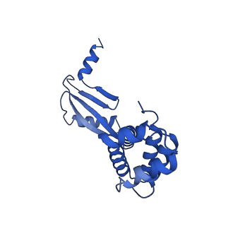 20168_6oqs_W_v1-2
E. coli ATP synthase State 1b