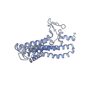 20168_6oqs_a_v1-2
E. coli ATP synthase State 1b