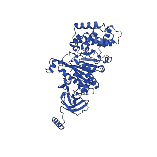 20169_6oqt_A_v1-2
E. coli ATP synthase State 1c