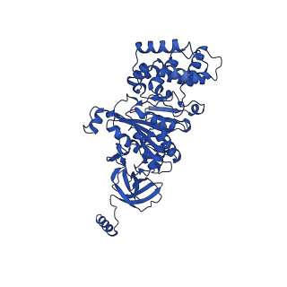 20169_6oqt_A_v1-3
E. coli ATP synthase State 1c