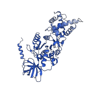 20169_6oqt_B_v1-3
E. coli ATP synthase State 1c