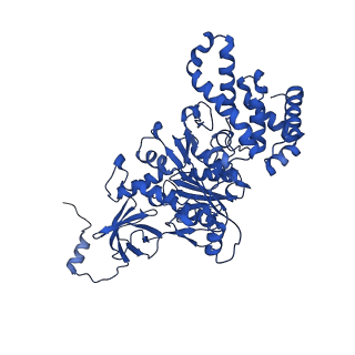 20169_6oqt_C_v1-2
E. coli ATP synthase State 1c