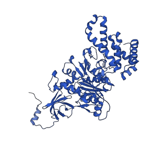 20169_6oqt_C_v1-3
E. coli ATP synthase State 1c