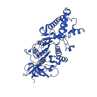 20169_6oqt_D_v1-2
E. coli ATP synthase State 1c