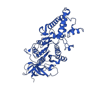 20169_6oqt_D_v1-3
E. coli ATP synthase State 1c