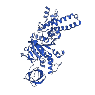 20169_6oqt_E_v1-3
E. coli ATP synthase State 1c