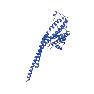 20169_6oqt_G_v1-2
E. coli ATP synthase State 1c