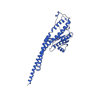 20169_6oqt_G_v1-3
E. coli ATP synthase State 1c