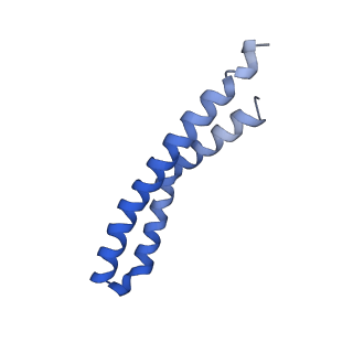 20169_6oqt_I_v1-2
E. coli ATP synthase State 1c