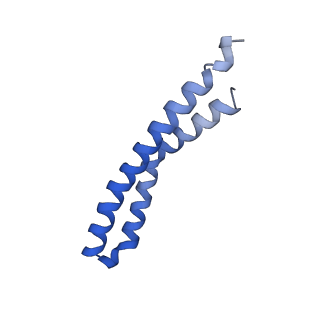 20169_6oqt_I_v1-3
E. coli ATP synthase State 1c