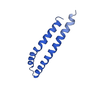 20169_6oqt_J_v1-2
E. coli ATP synthase State 1c