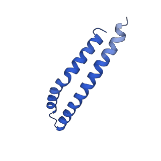 20169_6oqt_J_v1-3
E. coli ATP synthase State 1c