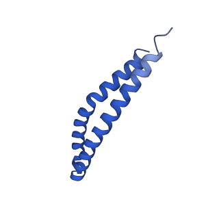 20169_6oqt_L_v1-2
E. coli ATP synthase State 1c