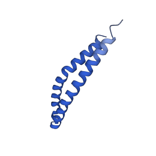 20169_6oqt_L_v1-3
E. coli ATP synthase State 1c