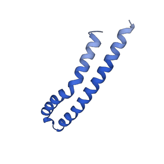 20169_6oqt_M_v1-2
E. coli ATP synthase State 1c