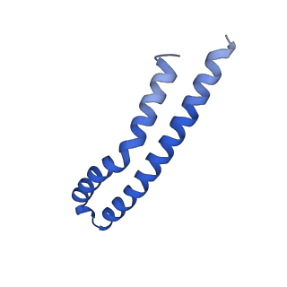 20169_6oqt_M_v1-3
E. coli ATP synthase State 1c