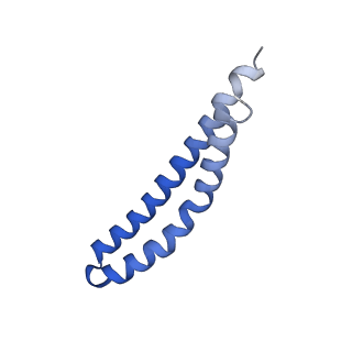 20169_6oqt_N_v1-3
E. coli ATP synthase State 1c