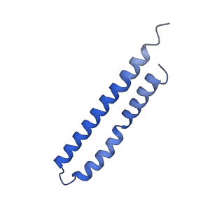 20169_6oqt_O_v1-2
E. coli ATP synthase State 1c