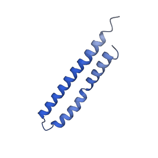 20169_6oqt_O_v1-3
E. coli ATP synthase State 1c