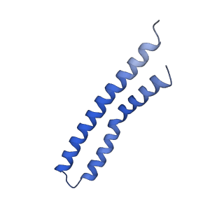 20169_6oqt_P_v1-2
E. coli ATP synthase State 1c