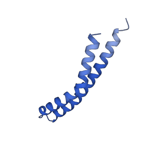 20169_6oqt_R_v1-2
E. coli ATP synthase State 1c