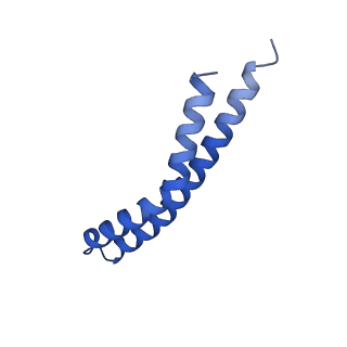 20169_6oqt_R_v1-3
E. coli ATP synthase State 1c