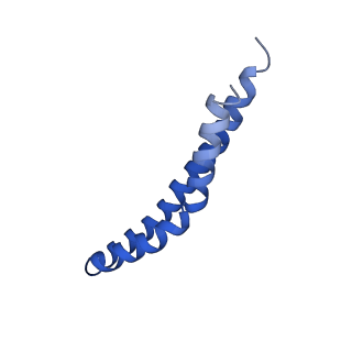 20169_6oqt_S_v1-2
E. coli ATP synthase State 1c