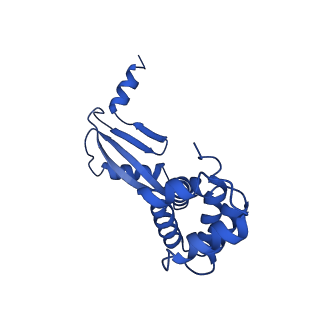 20169_6oqt_W_v1-2
E. coli ATP synthase State 1c