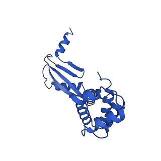 20169_6oqt_W_v1-3
E. coli ATP synthase State 1c