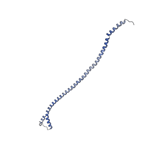 20169_6oqt_X_v1-3
E. coli ATP synthase State 1c