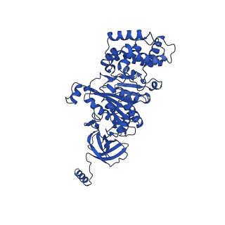 20170_6oqu_A_v1-2
E. coli ATP synthase State 1d