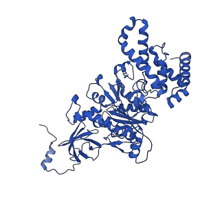 20170_6oqu_C_v1-2
E. coli ATP synthase State 1d