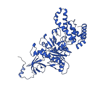 20170_6oqu_C_v1-3
E. coli ATP synthase State 1d