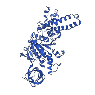 20170_6oqu_E_v1-3
E. coli ATP synthase State 1d