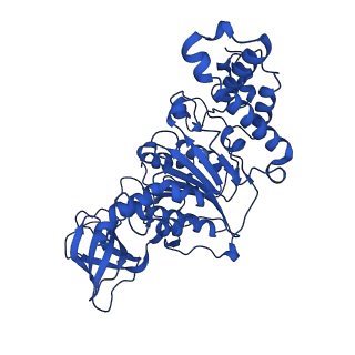 20170_6oqu_F_v1-3
E. coli ATP synthase State 1d