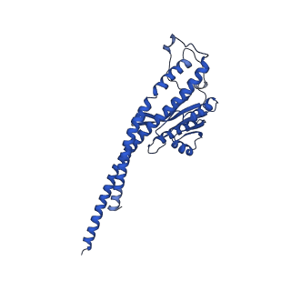 20170_6oqu_G_v1-2
E. coli ATP synthase State 1d