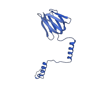 20170_6oqu_H_v1-3
E. coli ATP synthase State 1d