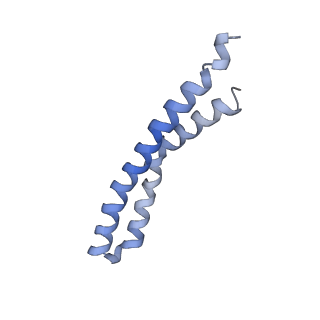 20170_6oqu_I_v1-2
E. coli ATP synthase State 1d