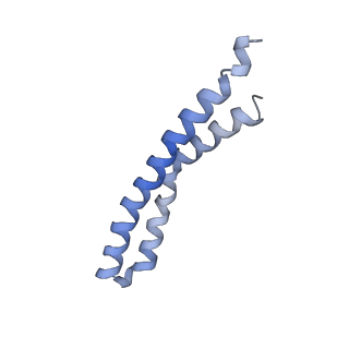 20170_6oqu_I_v1-3
E. coli ATP synthase State 1d