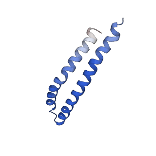20170_6oqu_J_v1-2
E. coli ATP synthase State 1d