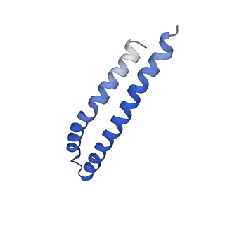 20170_6oqu_J_v1-3
E. coli ATP synthase State 1d