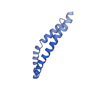 20170_6oqu_L_v1-2
E. coli ATP synthase State 1d