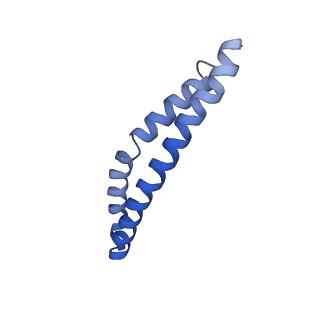 20170_6oqu_L_v1-3
E. coli ATP synthase State 1d