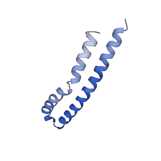 20170_6oqu_M_v1-2
E. coli ATP synthase State 1d