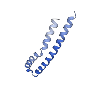 20170_6oqu_M_v1-3
E. coli ATP synthase State 1d