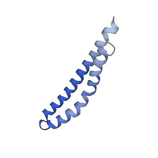 20170_6oqu_N_v1-3
E. coli ATP synthase State 1d