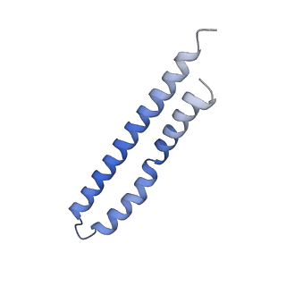 20170_6oqu_O_v1-2
E. coli ATP synthase State 1d