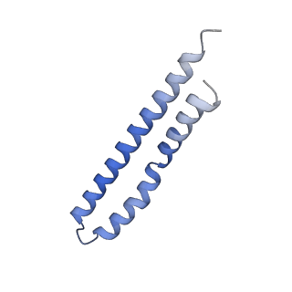 20170_6oqu_O_v1-3
E. coli ATP synthase State 1d